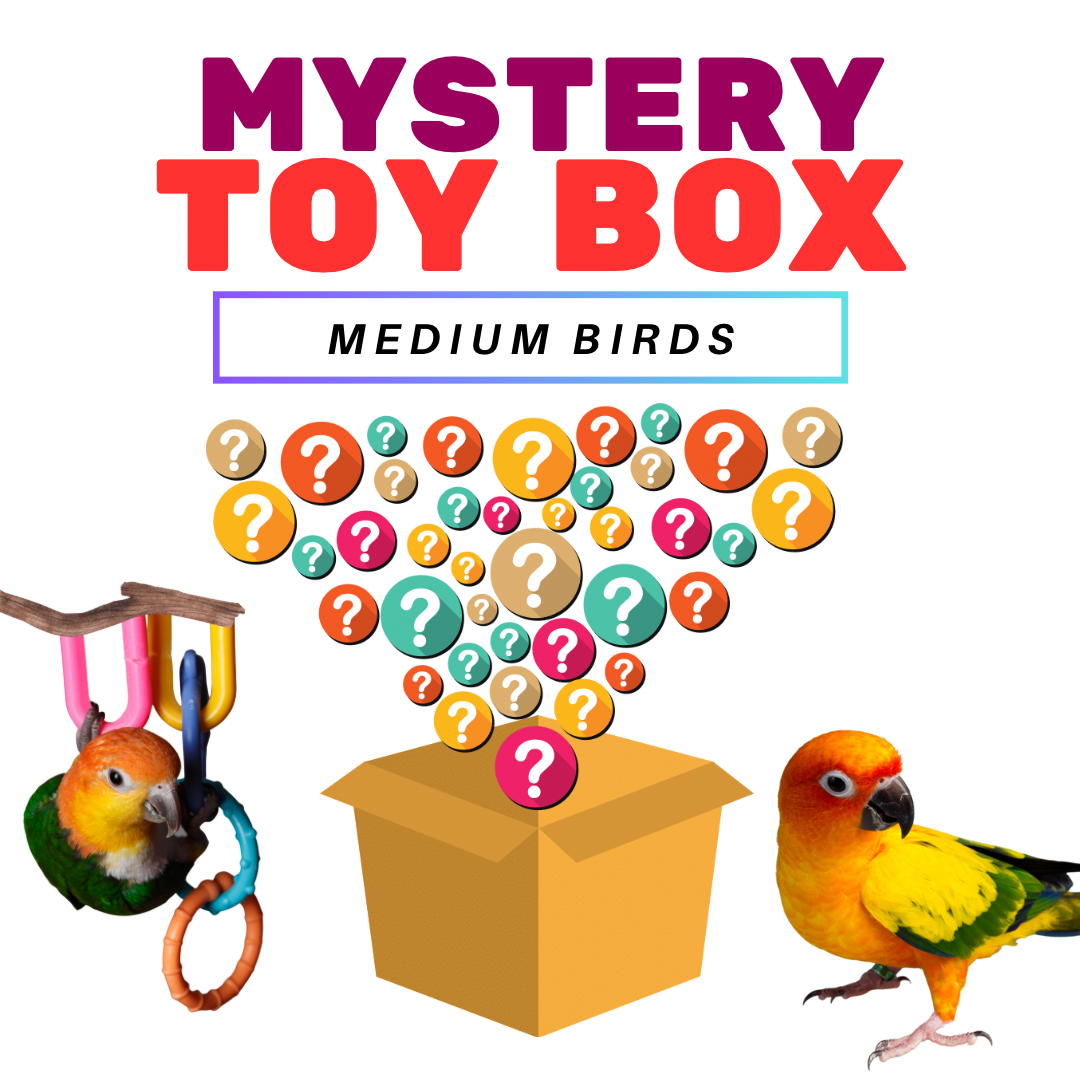 Beak Bonanza Mystery Box for Medium Birds