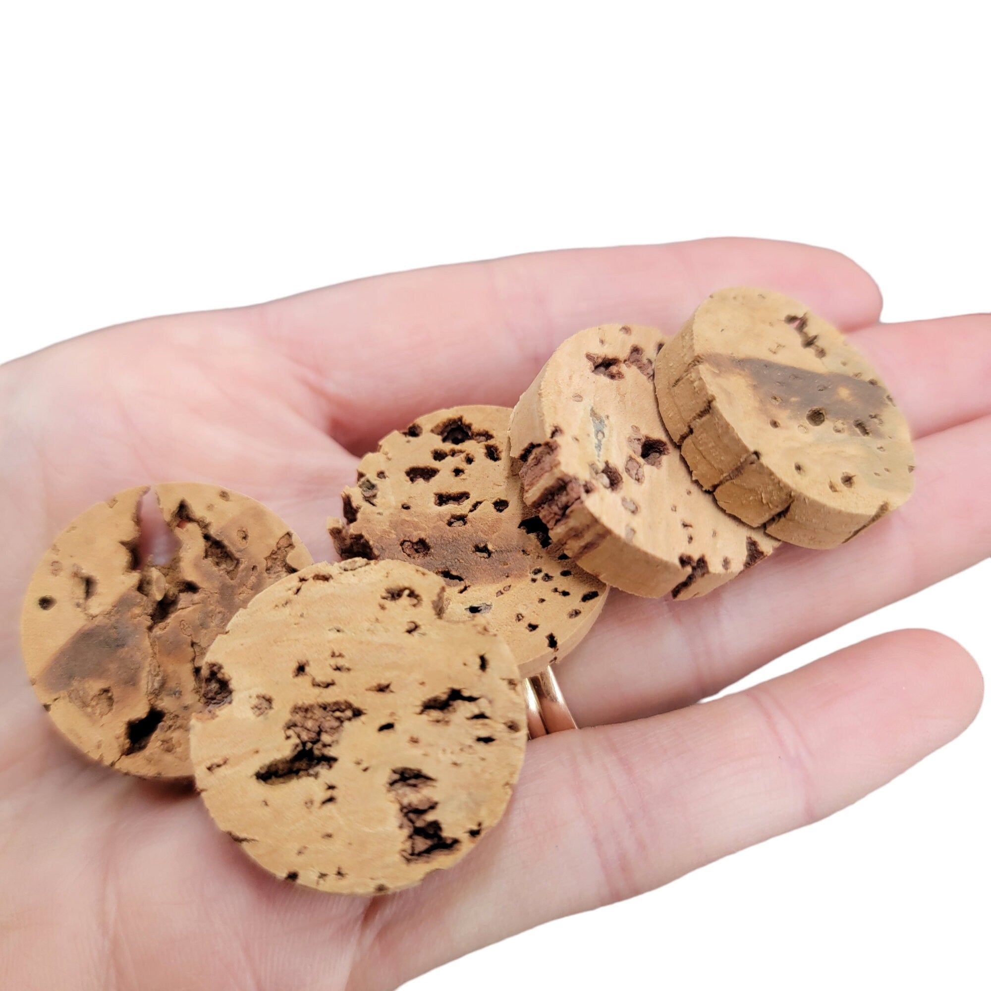 1" Natural Cork Disks - 20 Pack - Talon Toys for Birds/Parrots